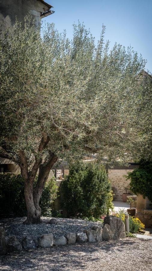 L'Ostal - Bed & Breakfast - Chambres Et Suites De 25 A 40M2 - Spa Saint-Hilaire-dʼOzilhan エクステリア 写真